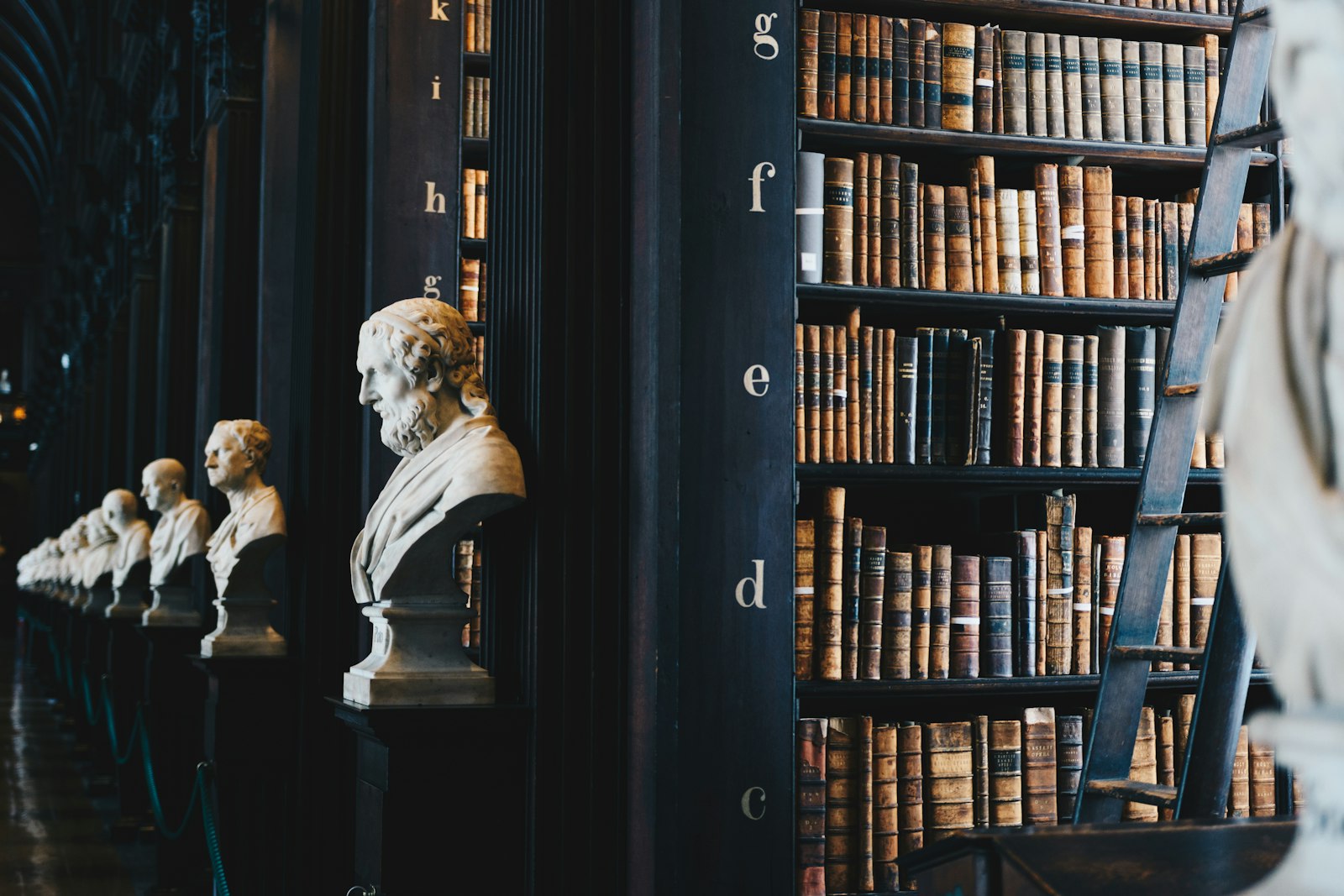 Biblioteca jurídica clássica com bustos e estantes de obras de direito, representando tradição e profundidade técnica